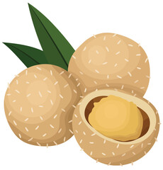 Onde-onde or Fry Sesame Ball Snack Illustration Isolated on White Background