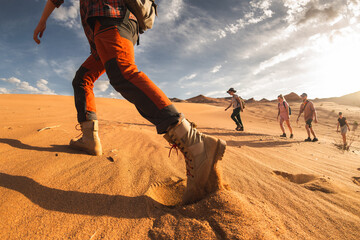 Big group of young tourists or hikers walks at sunset desert dunes. Gobi desert, Mongolia