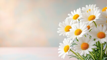 A vibrant bunch of daisies, with delicate white petals and sunny yellow centers, is isolated on a pastel background providing ample copy space for a message or design.