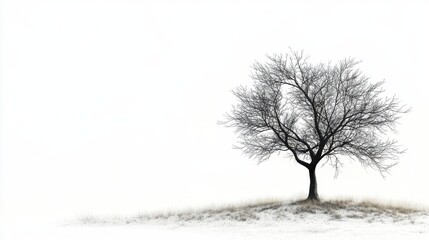 Fototapeta premium Solitude in Winter: A stark, solitary tree stands tall against a minimalist background of snow and fog, symbolizing resilience and beauty even in the face of hardship. 