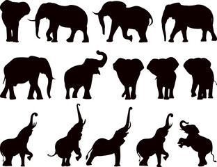 elephants collection, set black silhouette vector