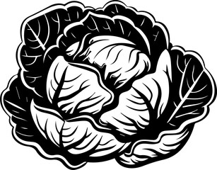 Black and White Vector Illustration Delicious Cabbage Vegetables