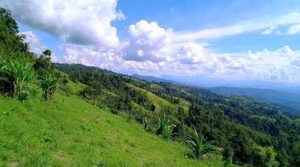 Naklejka premium Serene Mountain Landscape