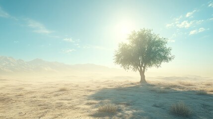 Sunlit desert with a single tree, open horizon for copy
