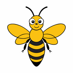 Honeybee vector illustration on white background