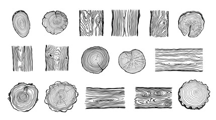Wood rings. Round tree trunk cut with growth lines, wooden circle log with natural textured surface, carpentry material flat style. Vector isolated set © Tartila