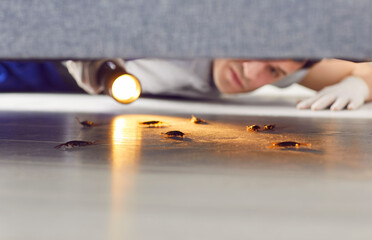 Man working in pest control is checking a home for insects and other bugs, specifically...