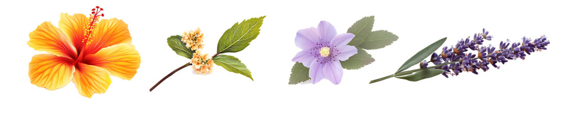 Obraz premium set of yellow flowers head isolated on white background PNG.AI GENERATED