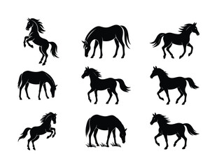 Majestic Horse Silhouette Illustrations in Black and White for Elegant Designs