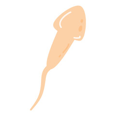 Sperm Cells Fertilizing an Egg Cell illustration