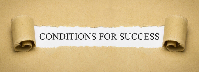 Conditions for Success