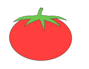 tomato illustration