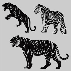 different tiger breed silhouette vector design art and illustration 