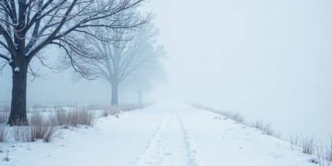 Obraz premium Serene Winter Path Through Foggy Landscape, Snow Covered Trees and Pathway