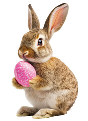 Adorable Easter bunny holding a decorated pink egg isolated on a transparent background