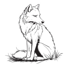Fototapeta premium fox in a white background