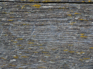 Wood textured background for use in photography