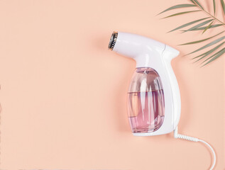 handheld steamer flat lay home appliance