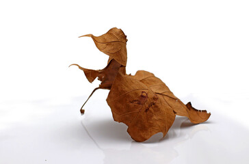 je suis seule au sol