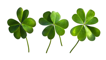 four leaf clover isolated on transparent background cutout