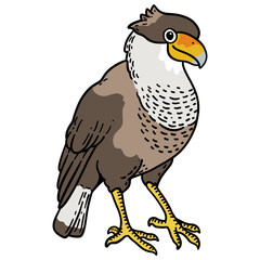 bird hand drawing illustration for logo mascot icon template design etc