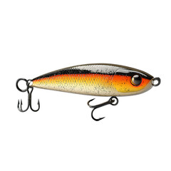 Colorful Fishing Lure for Angling and Sport Fishing Activities

