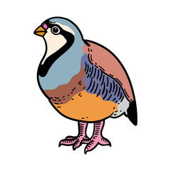 bird hand drawing illustration for logo mascot icon template design etc