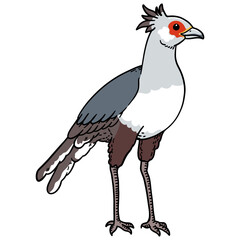 bird hand drawing illustration for logo mascot icon template design etc