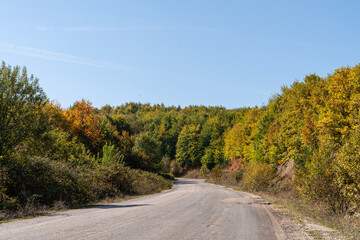 Autumn Road Through Colorful Forest Landscape