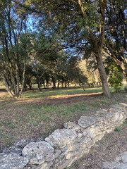 Ruins of stone walls surrounded by nature, with moss, grass, and plants growing over the aged, weathered structures