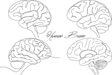 Minimalist and Modern Human Brain Continuous One Line Art Drawing Illustration In Editable Stroke