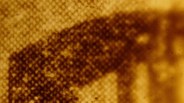 Scraps of an old Soviet newspaper.  Abstract loopable animation. 35mm film