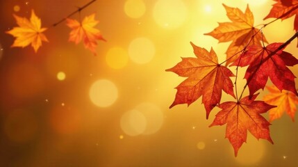 Fototapeta premium Autumnal foliage with bokeh background, showcasing vibrant fall colors and natural beauty.