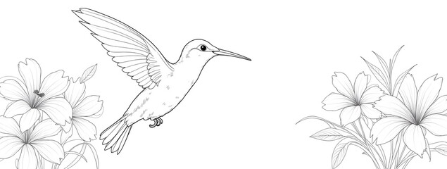 Obraz premium Olibri in flight among detailed flowers, black and white line drawing for coloring or educational purposes.