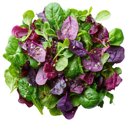 Freshly mixed salad greens on a white background showcasing vibrant colors and textures