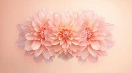 Fototapeta premium Three pink flowers are arranged in a row