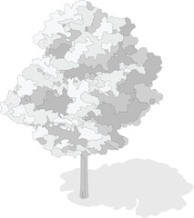 Axonometric tree, isometric tree, isolated tree,vector