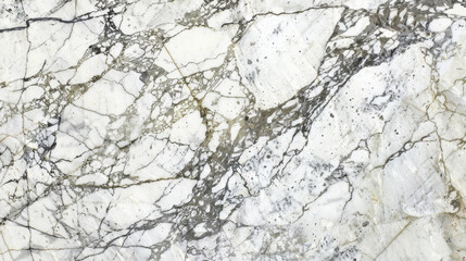 Elegant white marble with gray veining, perfect for interior design