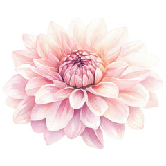 Fototapeta premium Elegant Flower Clipart Vector Illustration