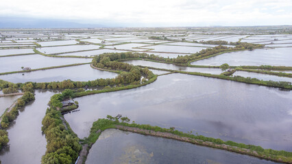 Portrait of the community's pond area near the beach.
January 18 2025
Pinrang, South Sulawesi Indoensia.
