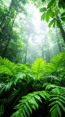 Lush forest landscape filled with vibrant green plants and dense foliage under bright sunlight