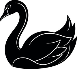 Obraz premium black and white swans