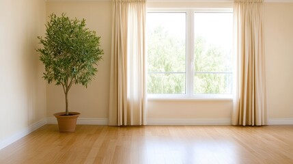 An olive tree in a large white pot adds life and elegance to a minimalist room, positioned beside a window with flowing curtains, creating a serene indoor atmosphere