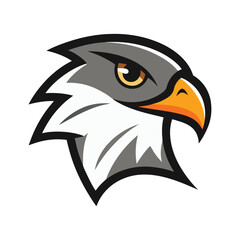 Eagle head color icon vector on White Background ,Vector Art Illustration on white background.