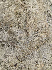 Close up of hay background and textures.