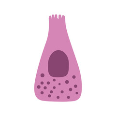 enteroendocrine cell colored icon