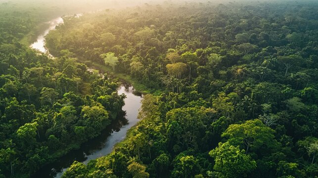 Amazon rainforest aerial view background. River cutting through dense, lush tropical forest. Calm water reflects greenery of surrounding trees and creating serene and peaceful atmosphere