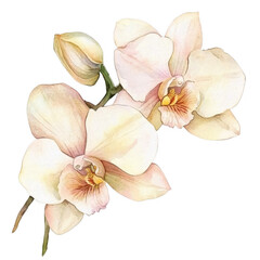 Naklejka premium Elegant Flower Clipart Vector Illustration