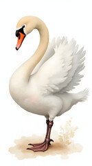 Fototapeta premium An exquisite watercolor illustration of a swan in soft pastel colors with delicate hand details.