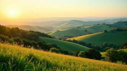 Serene Sunset Over Rolling Green Hills and Wildflowers
